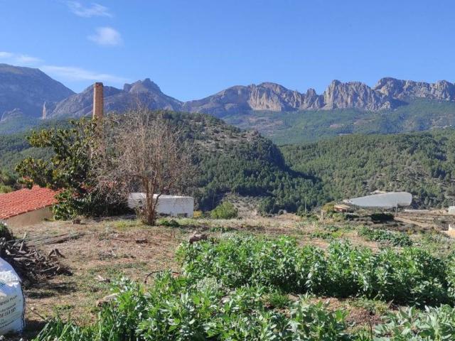 Terreno en Venta en Callosa d'en Sarrià