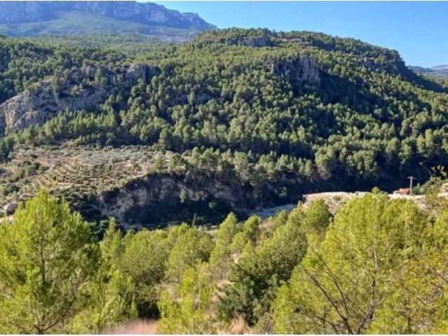 Terreno en Venta en Callosa d'en Sarrià