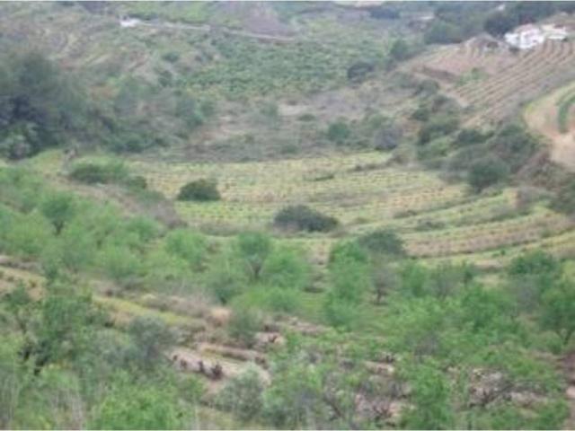 Terreno en Venta en Calp