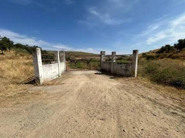 Terreno en Venta en Calzadilla