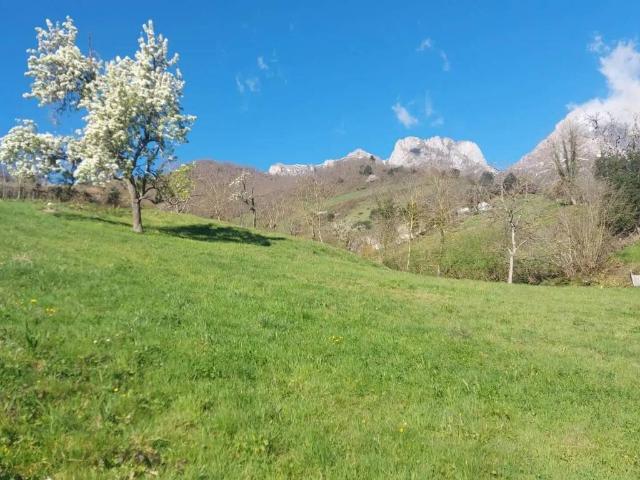 Terreno en Venta en Camaleño