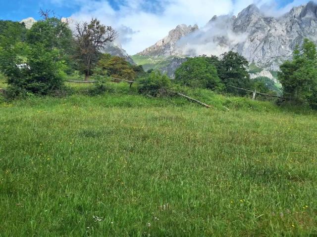 Terreno en Venta en Camaleño