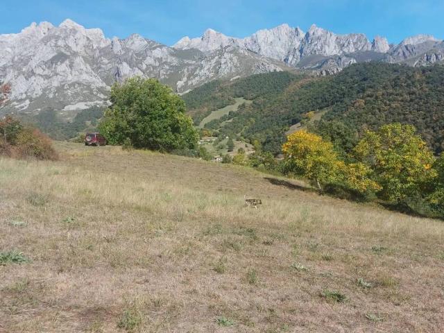 Terreno en Venta en Camaleño