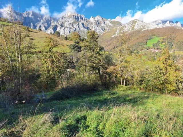 Terreno en Venta en Camaleño