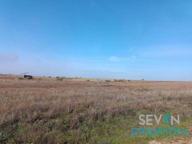 Terreno en Venta en Camarena