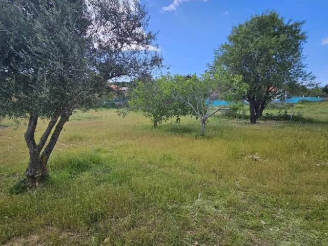 Terreno en Venta en Camarma de Esteruelas