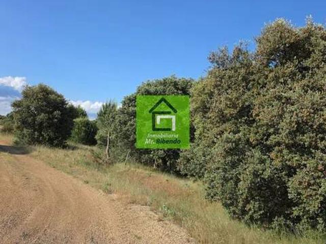 Terreno en Venta en Camarzana de Tera