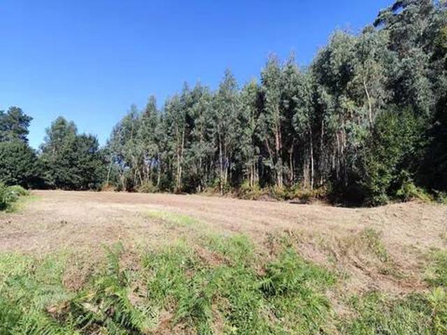 Terreno en Venta en Cambre