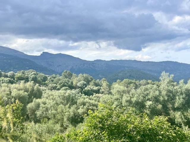 Terreno en venta en Campanet, Urbanizacion es molins