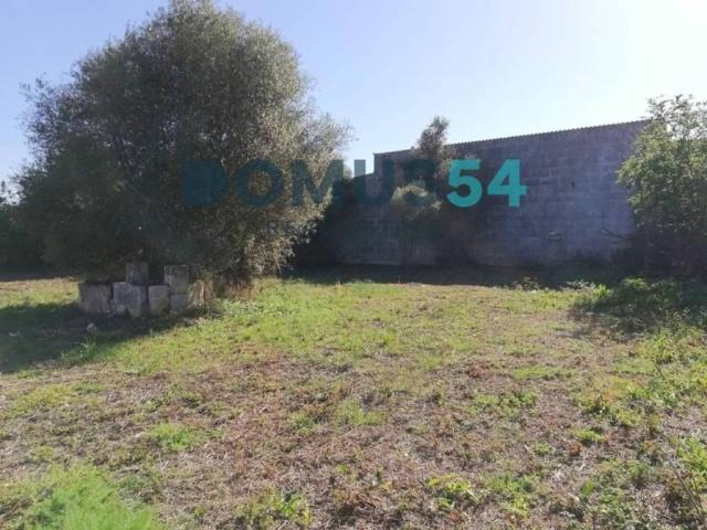 Terreno en Venta en Campanet
