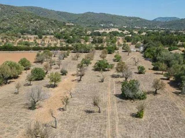 Terreno en Venta en Campanet