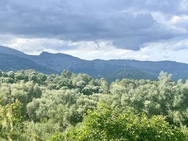Terreno en Venta en Campanet