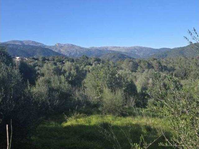 Terreno en Venta en Campanet
