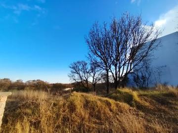 Terreno en venta en Campestre Haras, Amozoc, Puebla