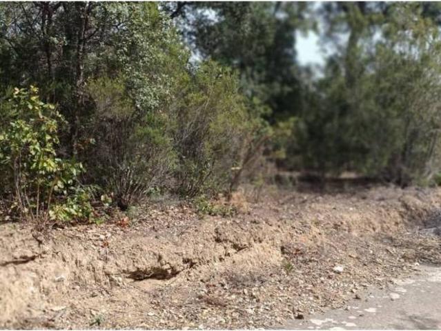 Terreno en Venta en Campins
