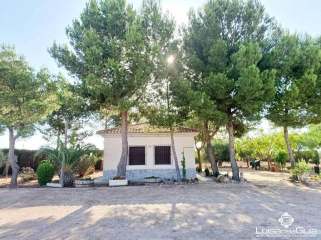 Terreno en Venta en Campo de Criptana