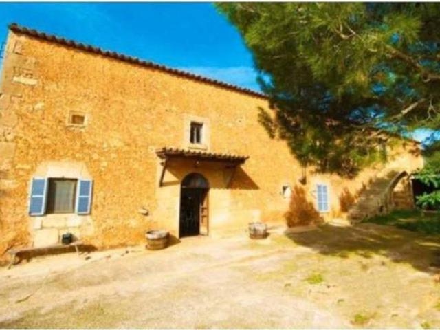 Terreno en Venta en Campos