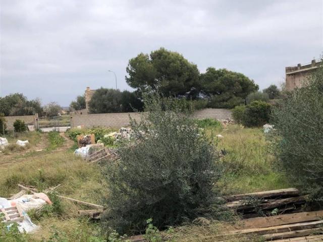 Terreno en Venta en Campos
