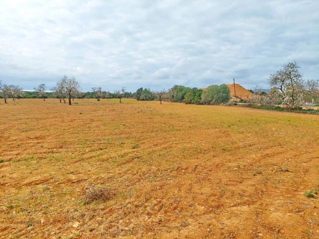 Terreno en Venta en Campos