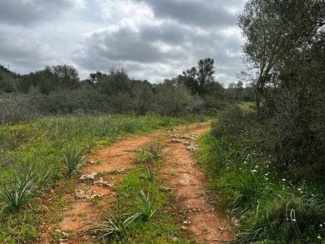 Terreno en Venta en Campos