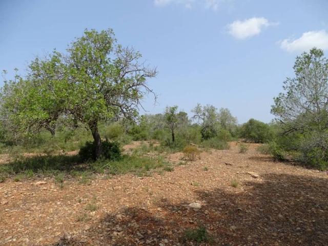 Terreno en Venta en Campos