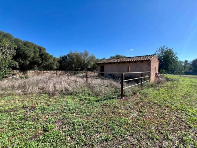 Terreno en Venta en Campos