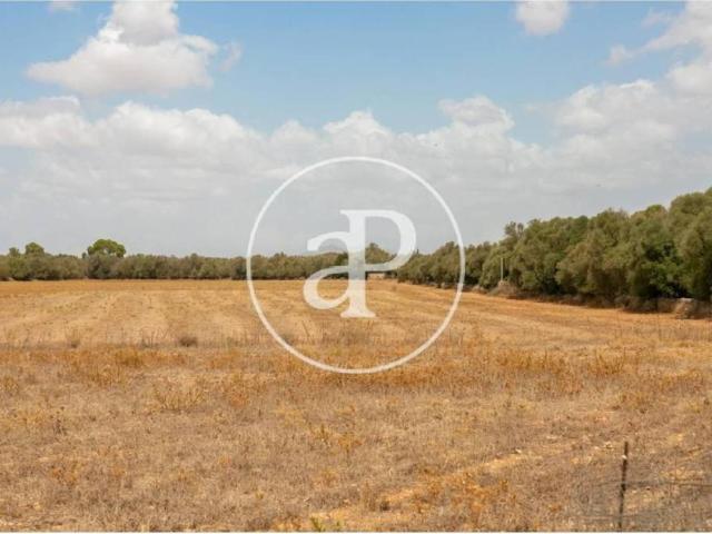 Terreno en Venta en Campos