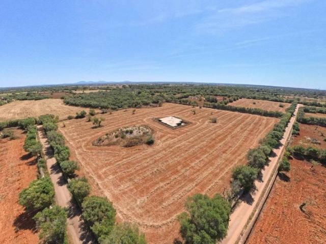Terreno en Venta en Campos