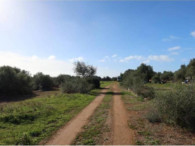 Terreno en Venta en Campos