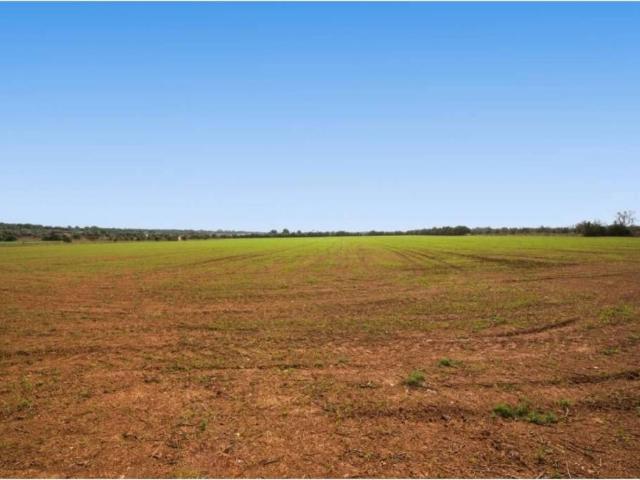 Terreno en Venta en Campos