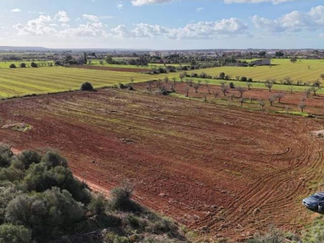 Terreno en Venta en Campos