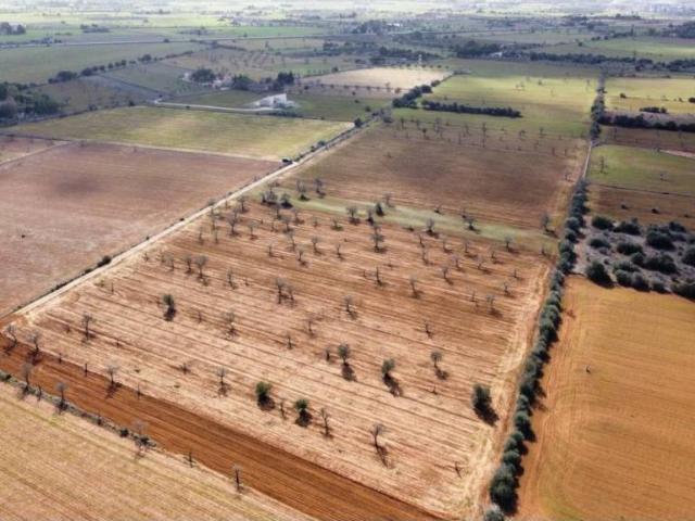 Terreno en Venta en Campos
