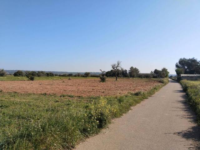 Terreno en Venta en Campos