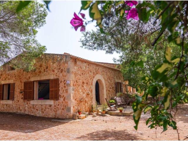Terreno en Venta en Campos
