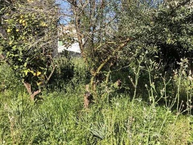 Terreno en Venta en Campos