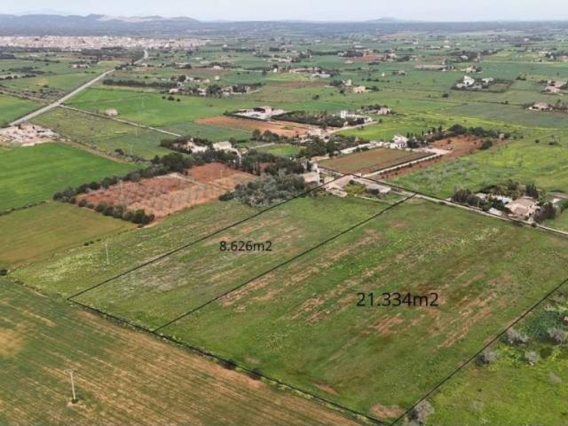 Terreno en Venta en Campos