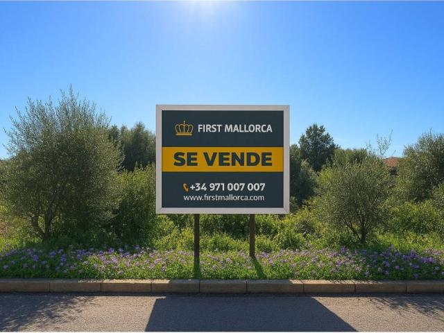 Terreno en Venta en Campos