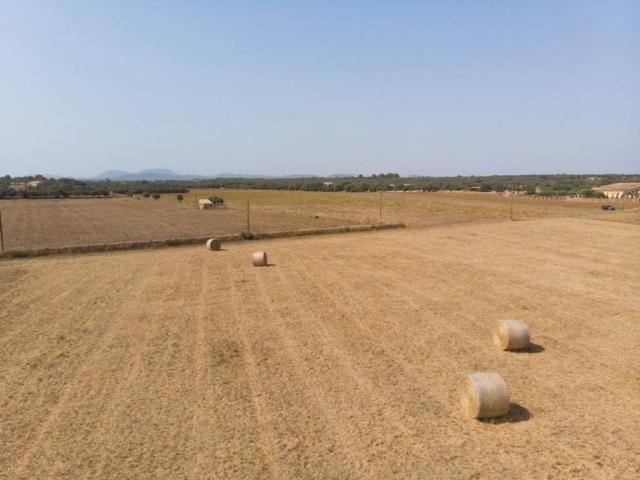 Terreno en Venta en Campos