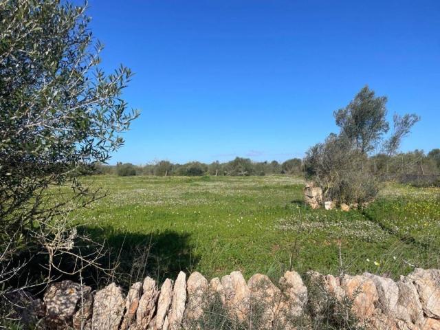 Terreno en Venta en Campos