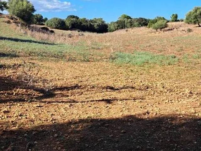 Terreno en Venta en Campos