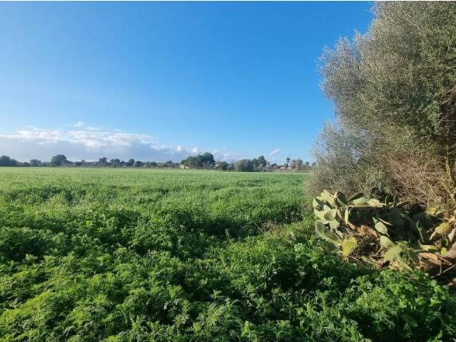 Terreno en Venta en Campos