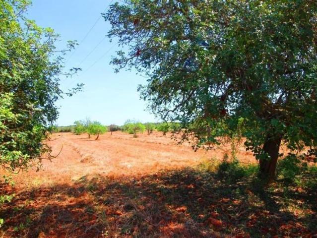 Terreno en venta en Campos, Sa sorda