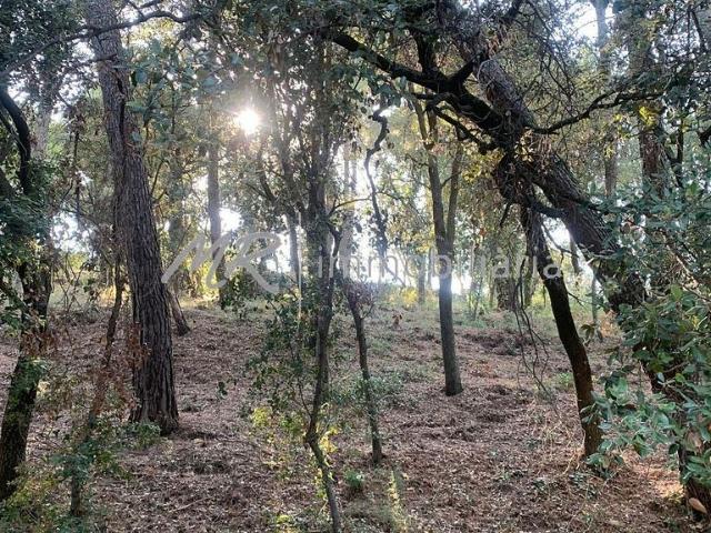Terreno en venta en Cànoves i Samalús, de 706 m² por 99.000