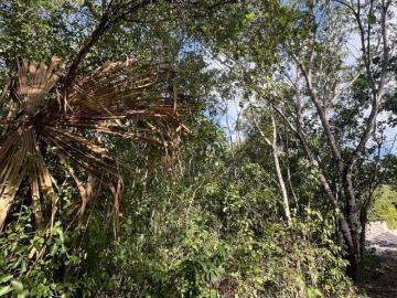 Terreno en venta en Cancún