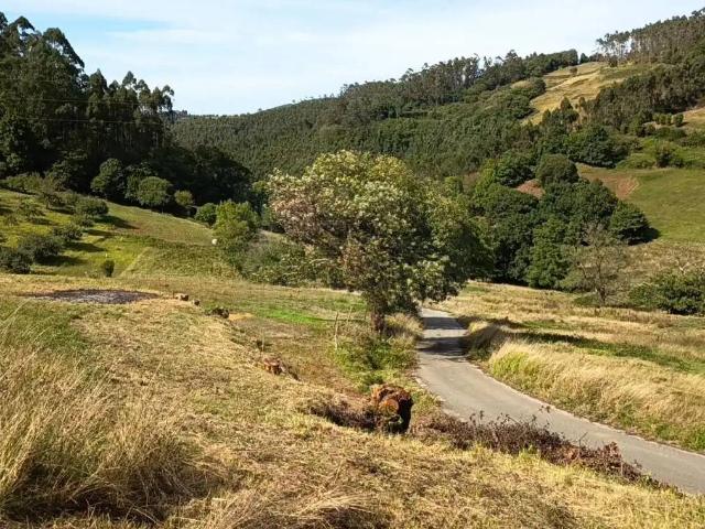 Terreno en Venta en Candamo
