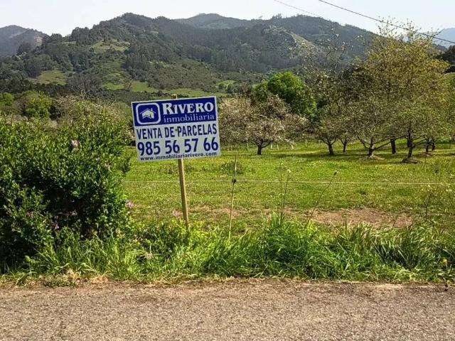 Terreno en Venta en Candamo