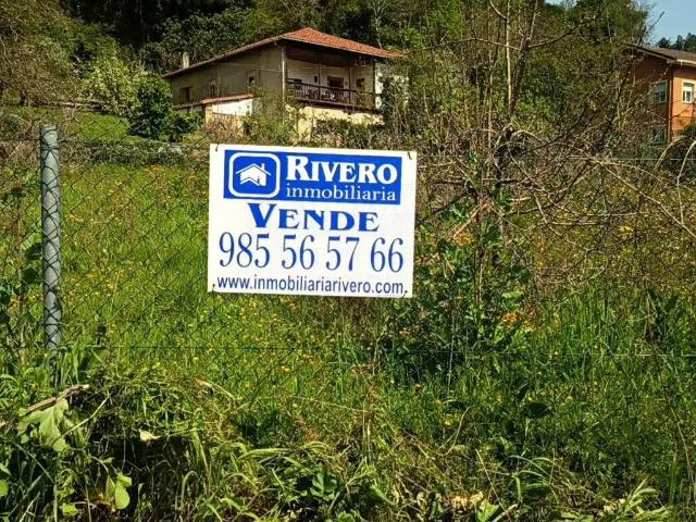 Terreno en Venta en Candamo