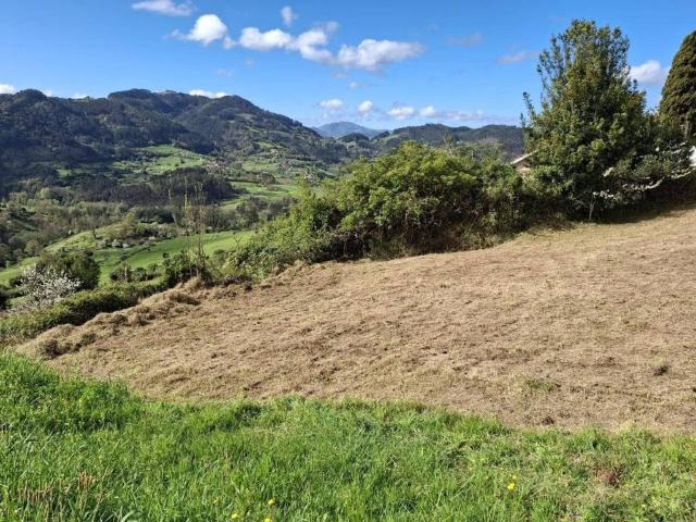 Terreno en Venta en Candamo