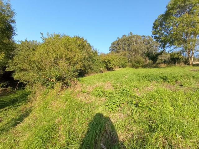 Terreno en venta en Candamo, Candamo