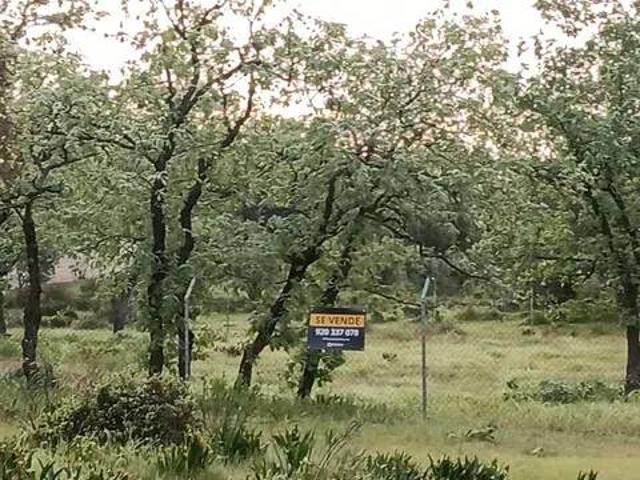 Terreno en Venta en Candeleda